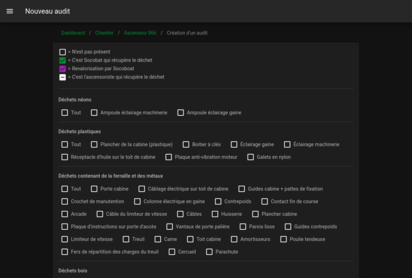 Audit form